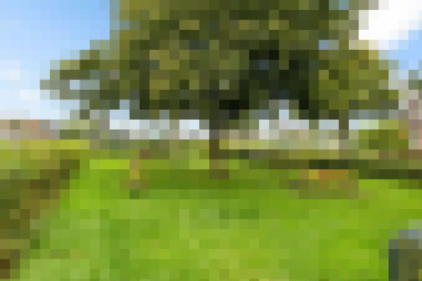 de Heareburch 4 Jirnsum thumbnail 38