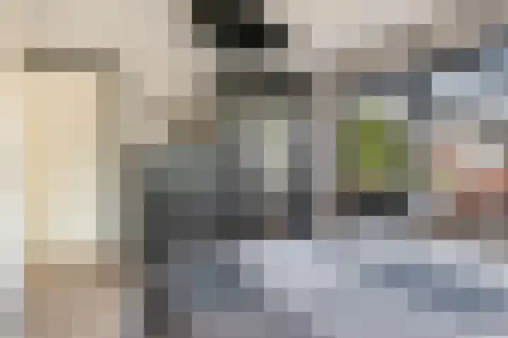 de Heemen 4 Mariënheem thumbnail 17