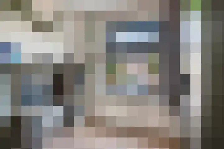 de Heemen 4 Mariënheem thumbnail 19