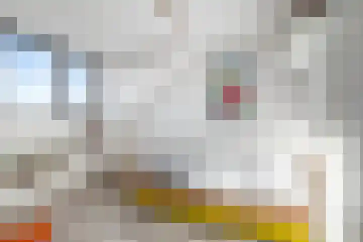de Heemplantsoen 1 Helmond thumbnail 11