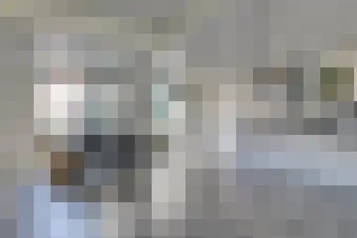de Heemplantsoen 1 Helmond thumbnail 13