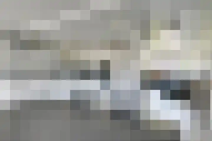 de Heemplantsoen 1 Helmond thumbnail 15