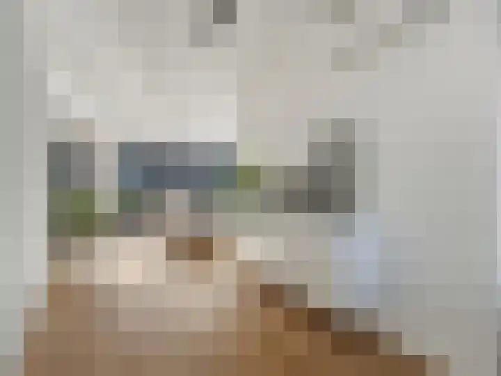 de Heemplantsoen 1 Helmond thumbnail 29