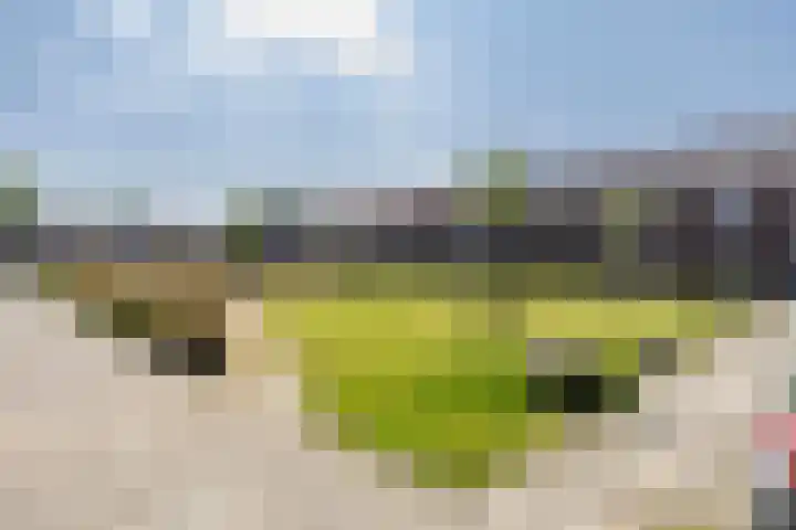 de Heemplantsoen 1 Helmond thumbnail 5