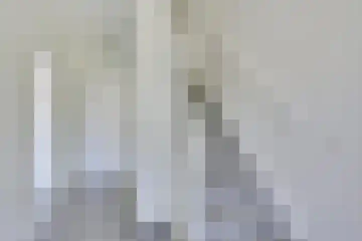 de Heemplantsoen 1 Helmond thumbnail 7