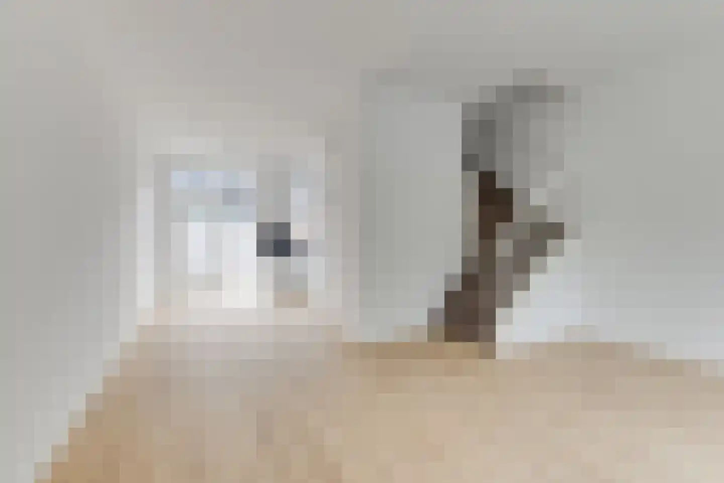 De Heemstraat 20 A Den Haag thumbnail 5