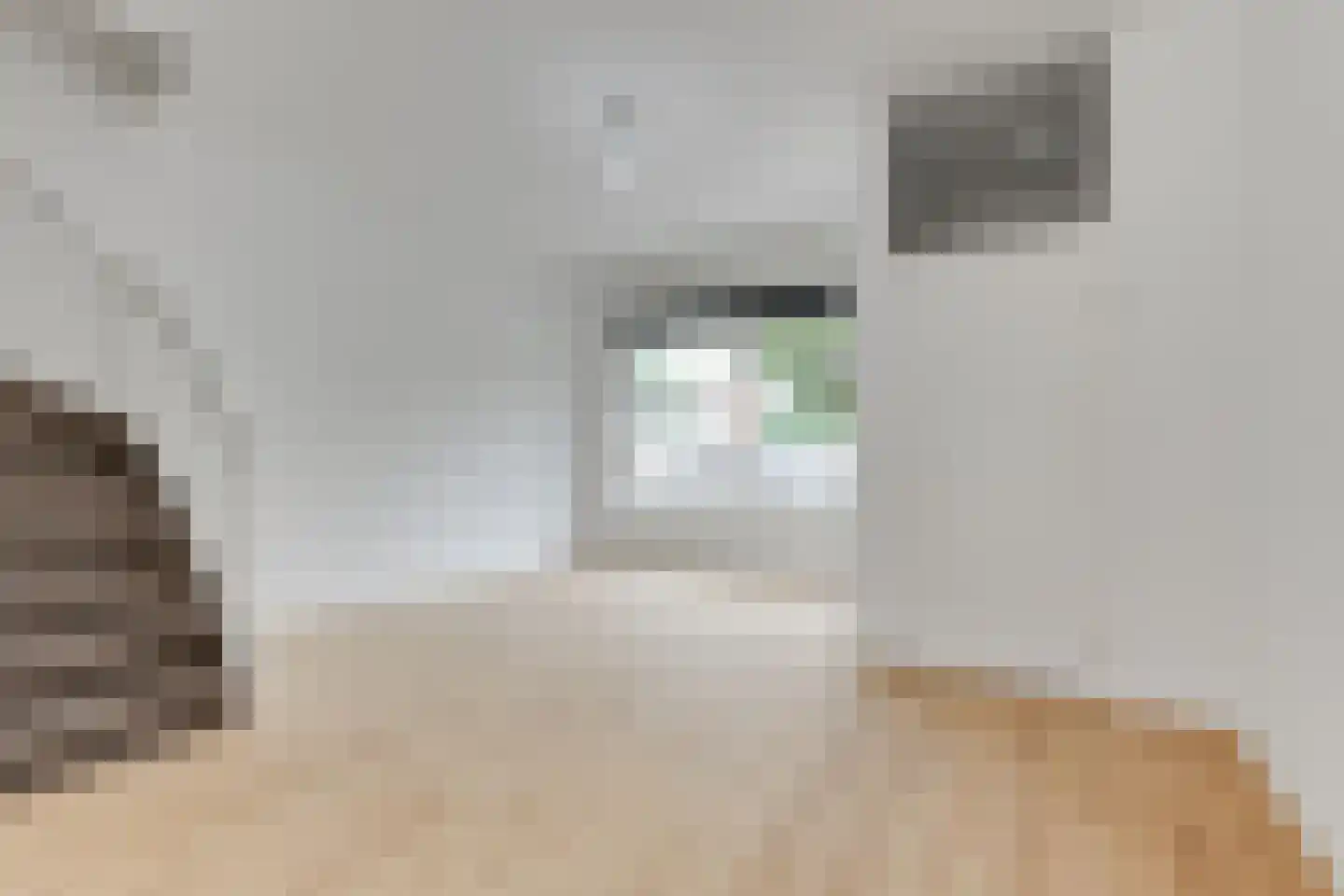De Heemstraat 20 A Den Haag thumbnail 6