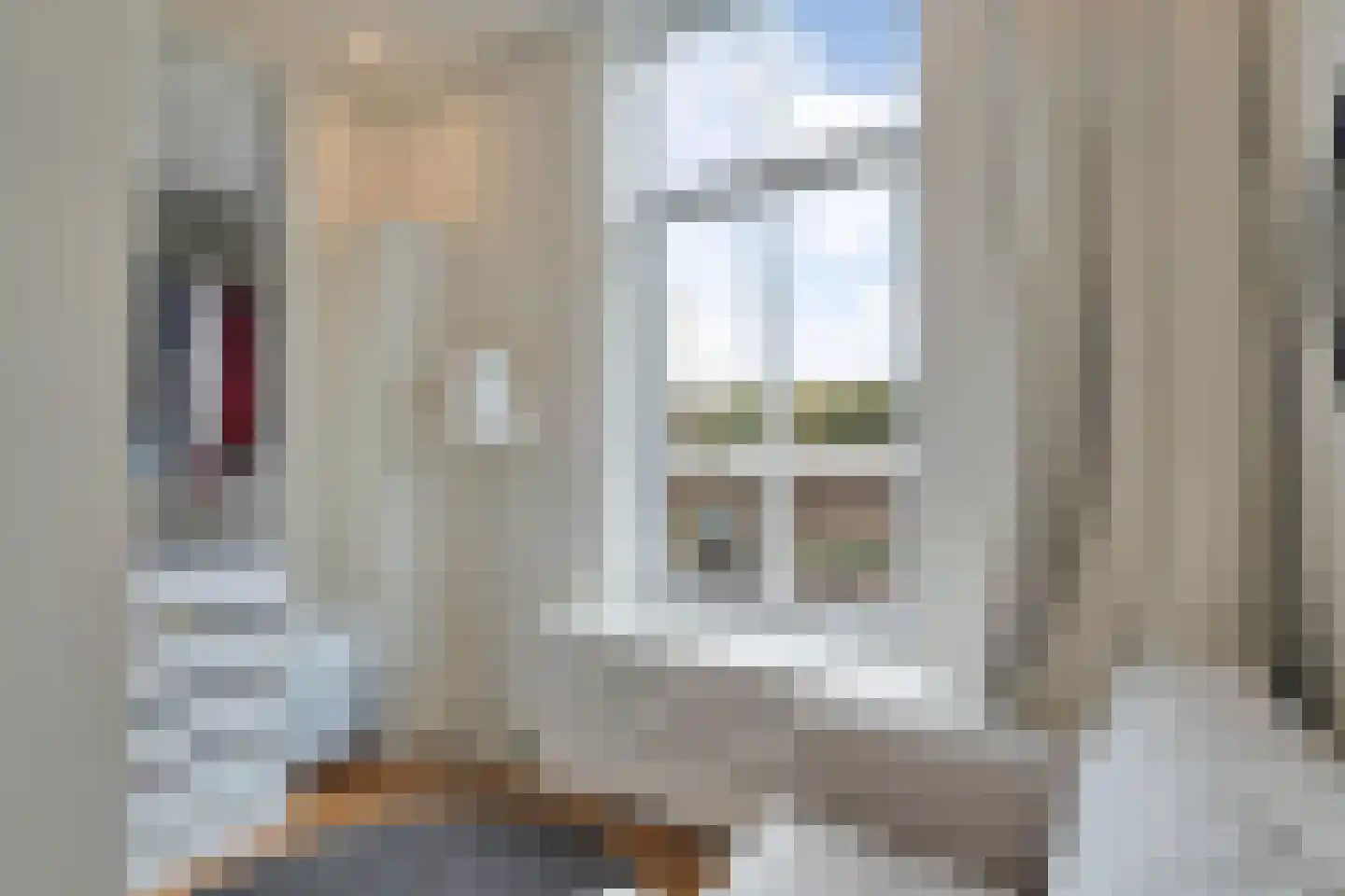 De Heemstraat 372 Den Haag thumbnail 10