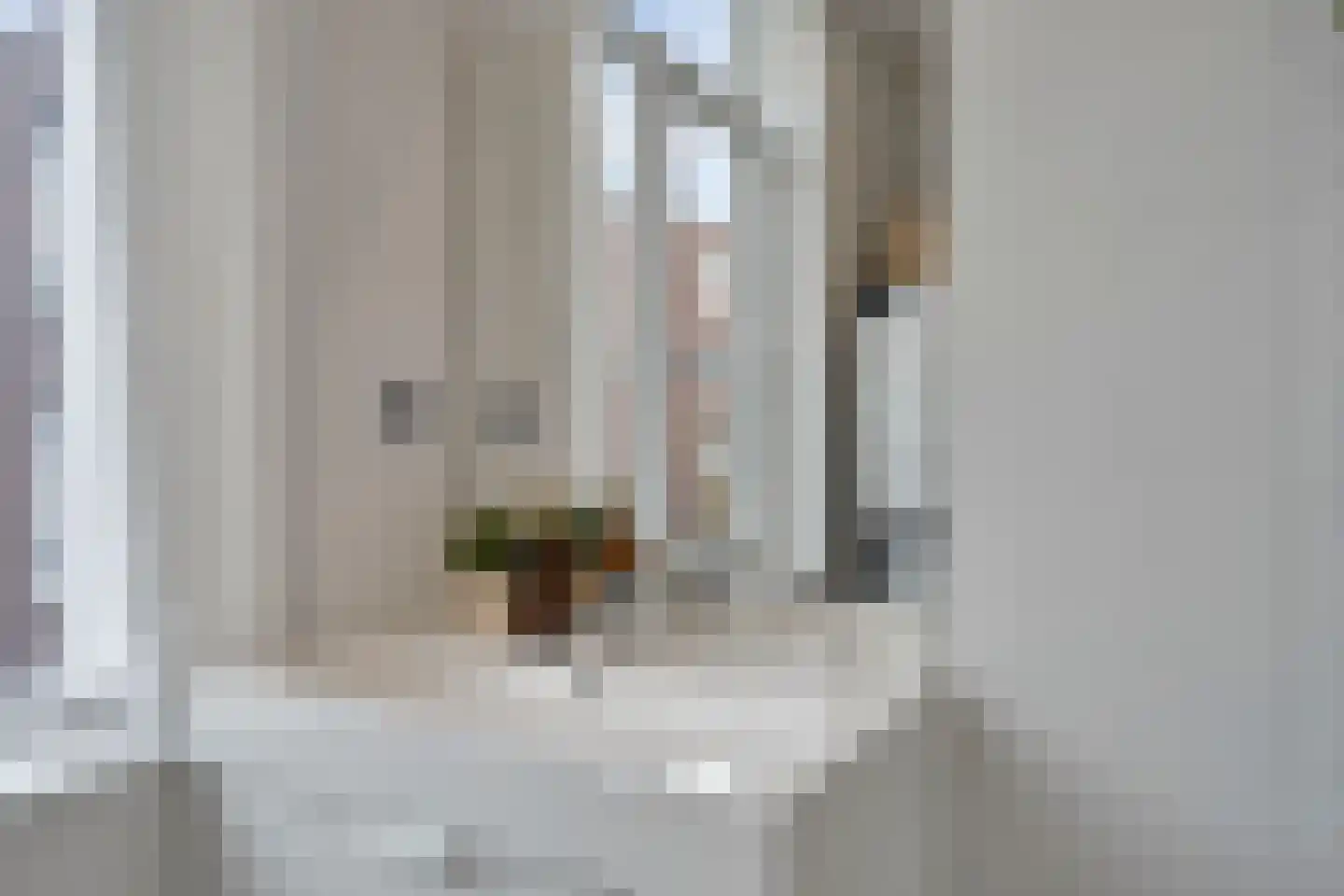 De Heemstraat 372 Den Haag thumbnail 21