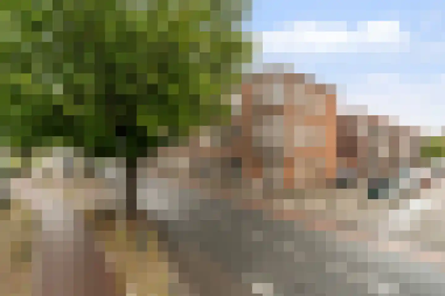 De Heemstraat 378 Den Haag thumbnail 23