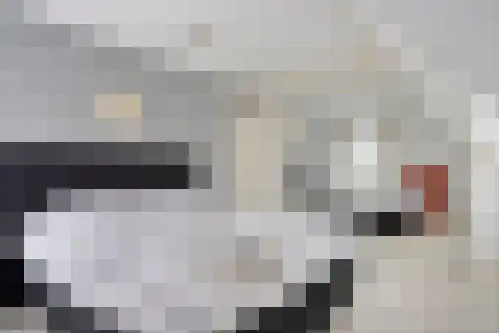 De Heenplaat 1 Made thumbnail 17