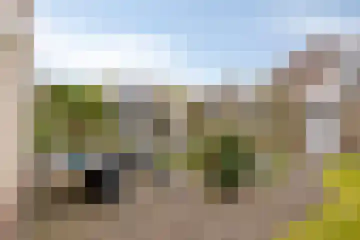 De Heenplaat 1 Made thumbnail 25