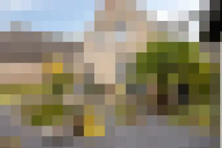 De Heenplaat 1 Made thumbnail 26