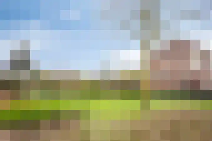 De Heenplaat 1 Made thumbnail 29