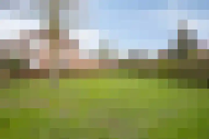 De Heenplaat 1 Made thumbnail 30