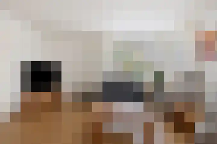 De Heenplaat 1 Made thumbnail 6