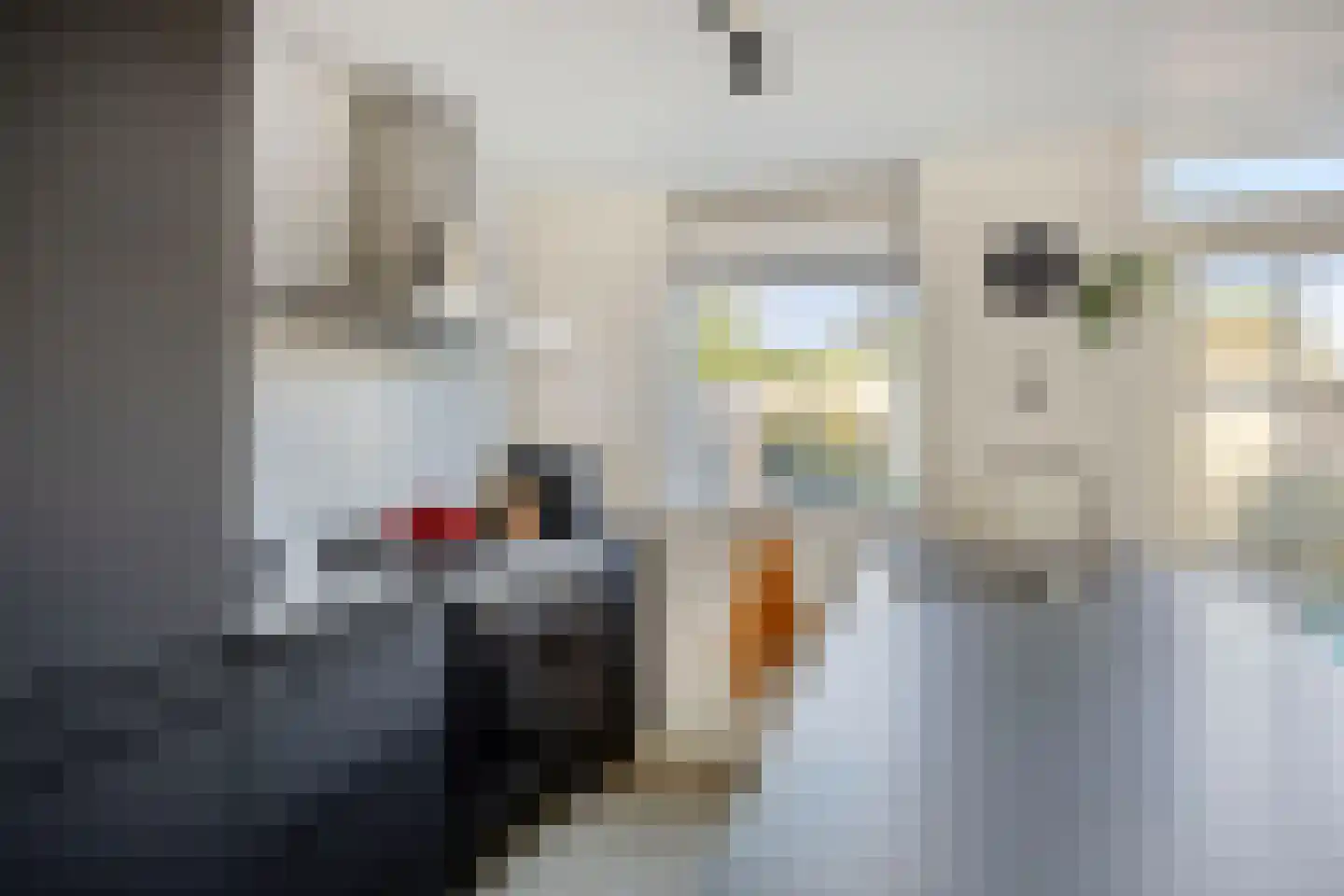 De Heenplaat 10 Made thumbnail 10