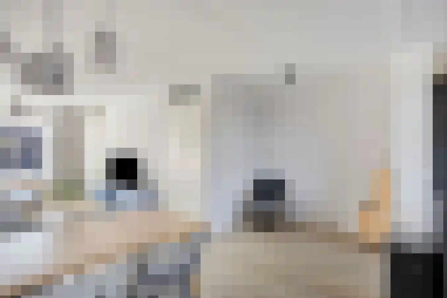 De Heenplaat 10 Made thumbnail 8