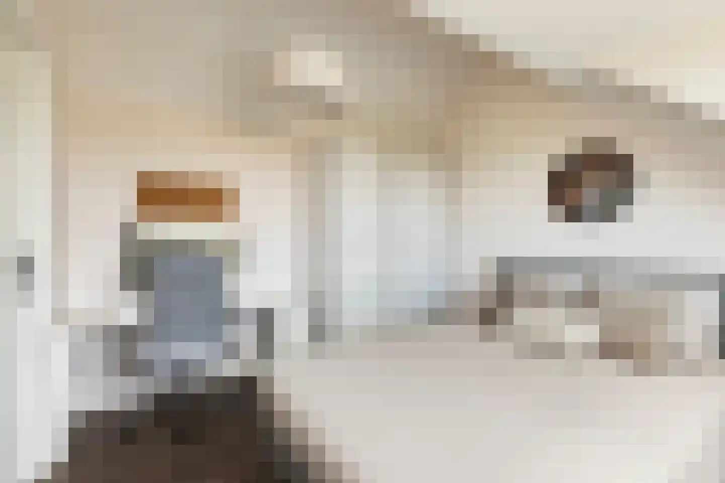 De Heenplaat 8 Made thumbnail 31