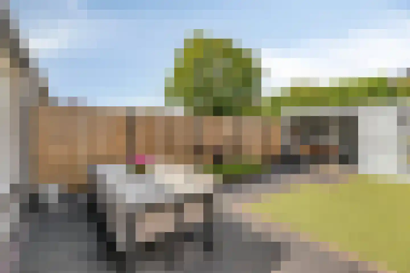 De Heenplaat 8 Made thumbnail 32