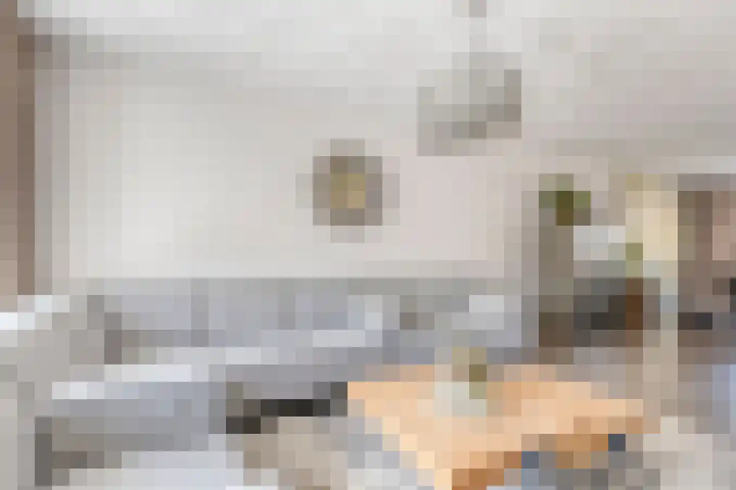 De Heenplaat 8 Made thumbnail 6