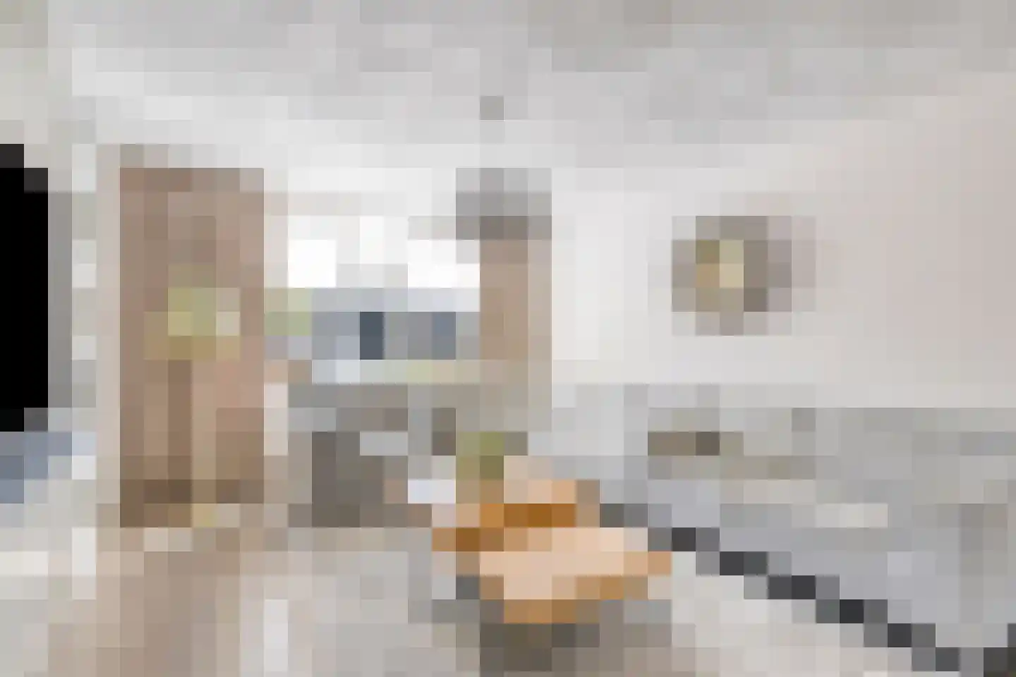 De Heenplaat 8 Made thumbnail 7