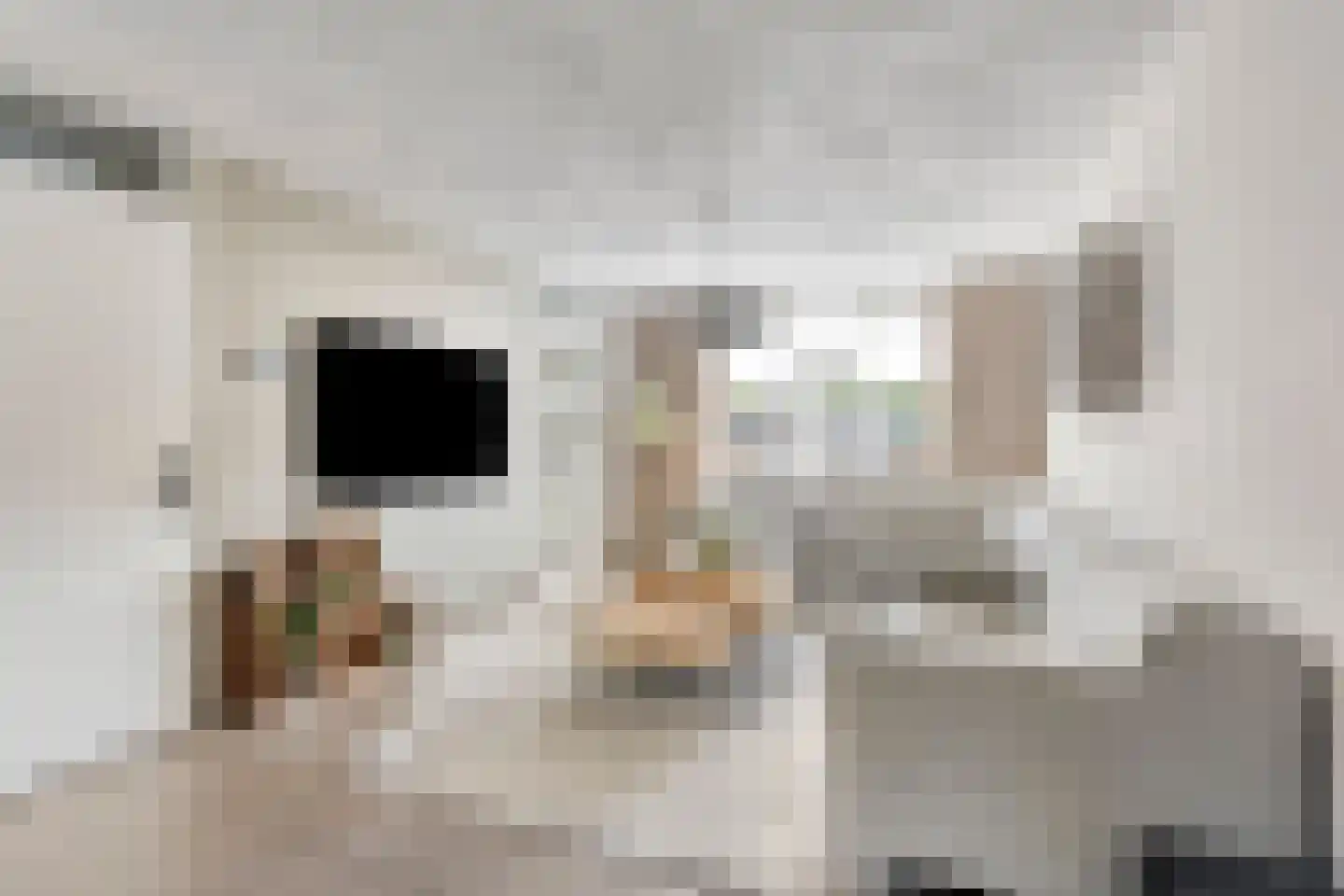 De Heenplaat 8 Made thumbnail 8