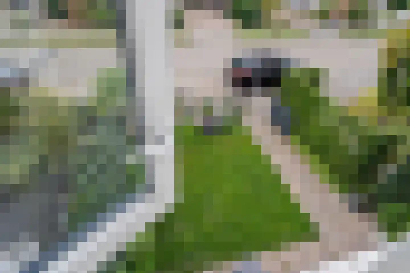 De Heerd 23 Hoevelaken thumbnail 27