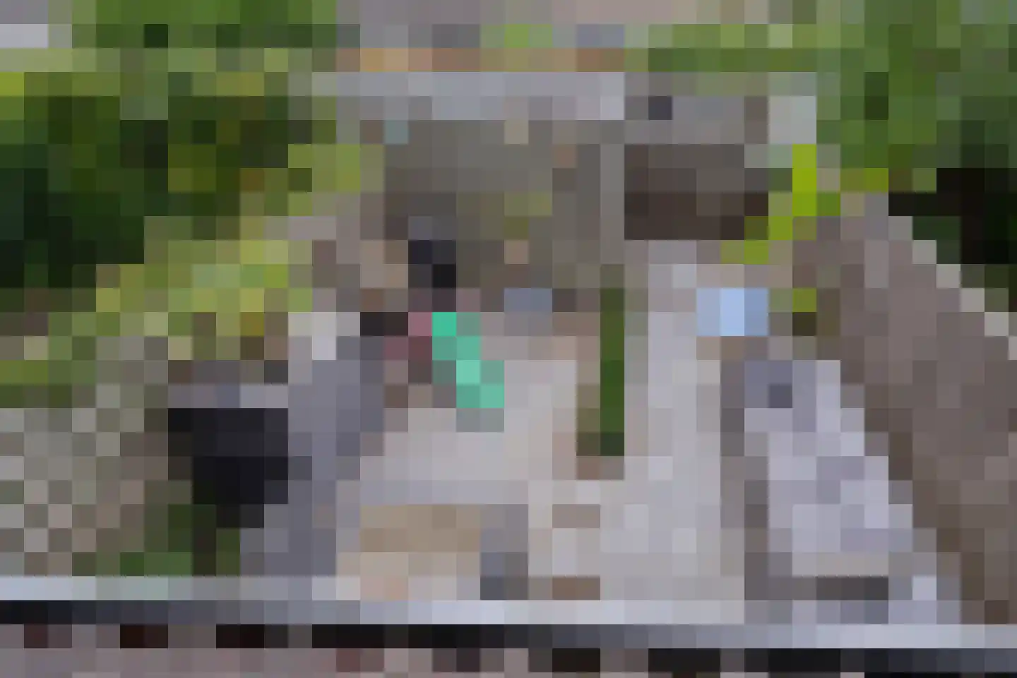 De Heerd 23 Hoevelaken thumbnail 44