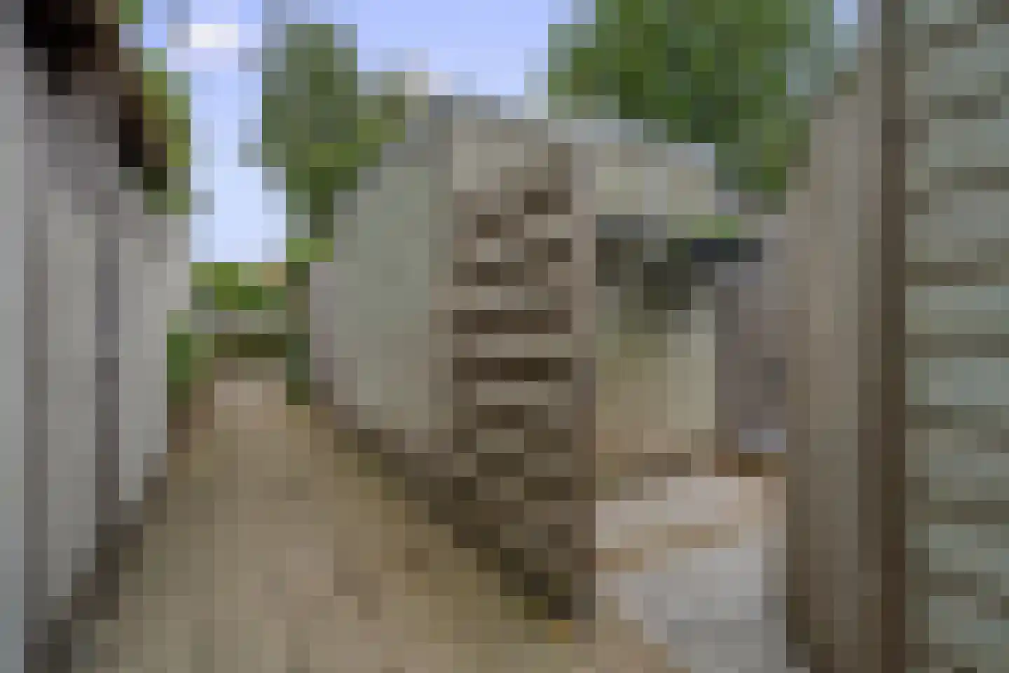 De Heerd 23 Hoevelaken thumbnail 45