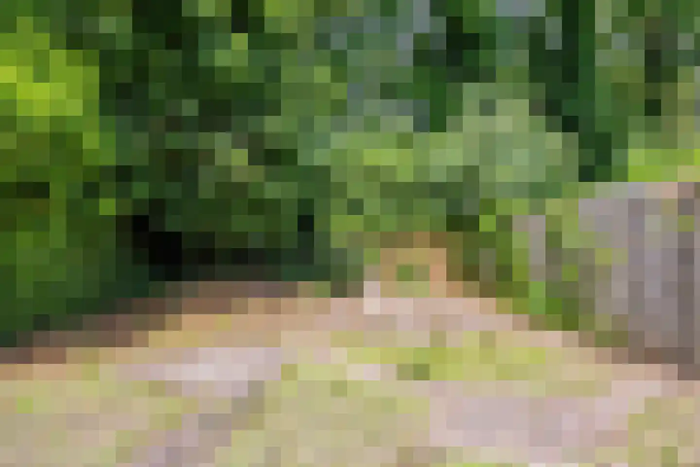 de Heerd 27 Raalte thumbnail 28