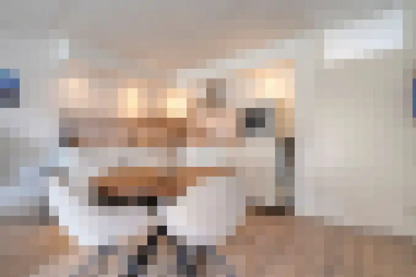 de Heerd 6 Raalte thumbnail 10
