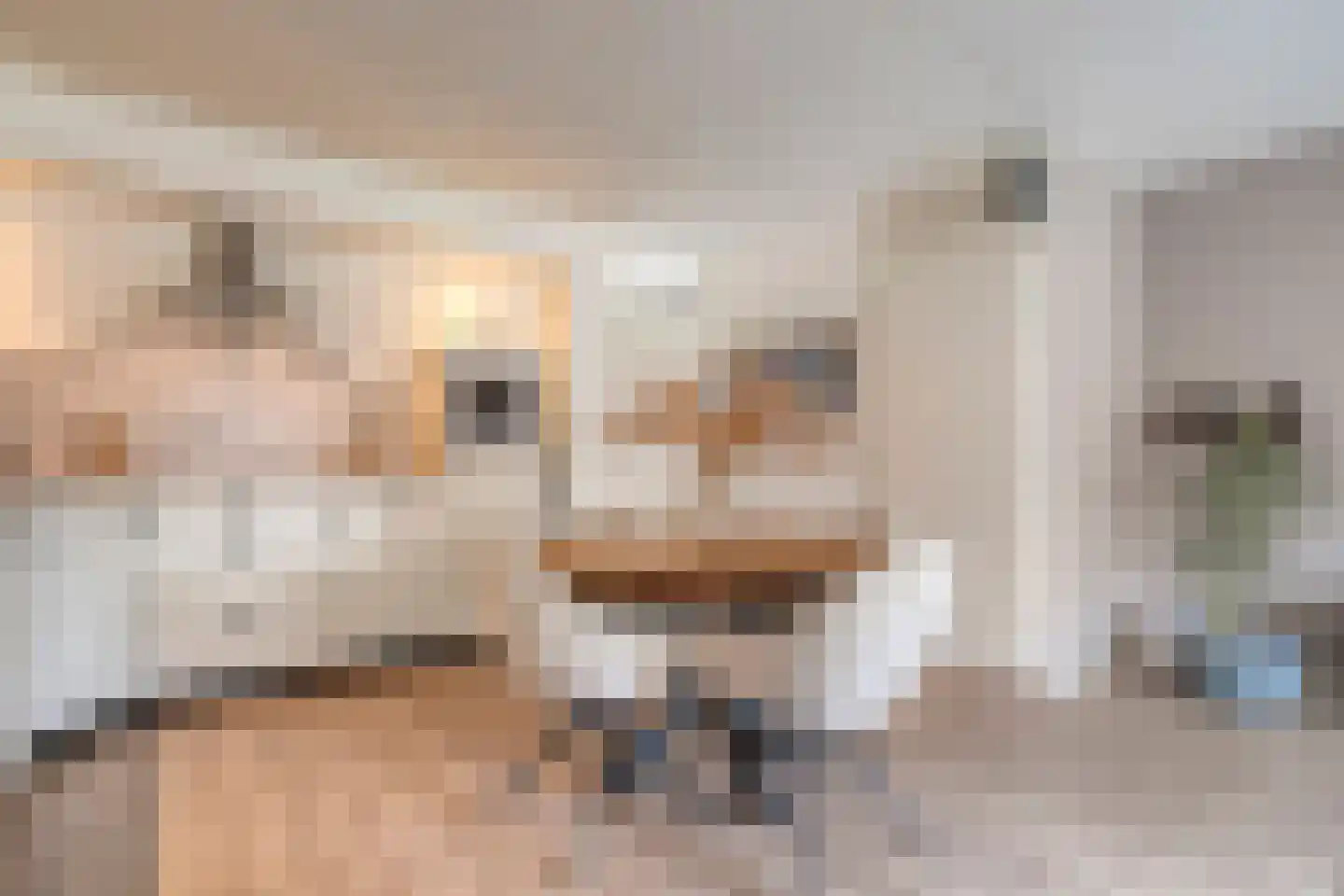 de Heerd 6 Raalte thumbnail 11