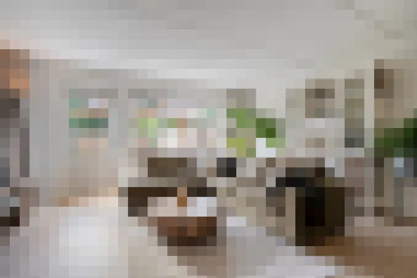 de Heerd 6 Raalte thumbnail 16