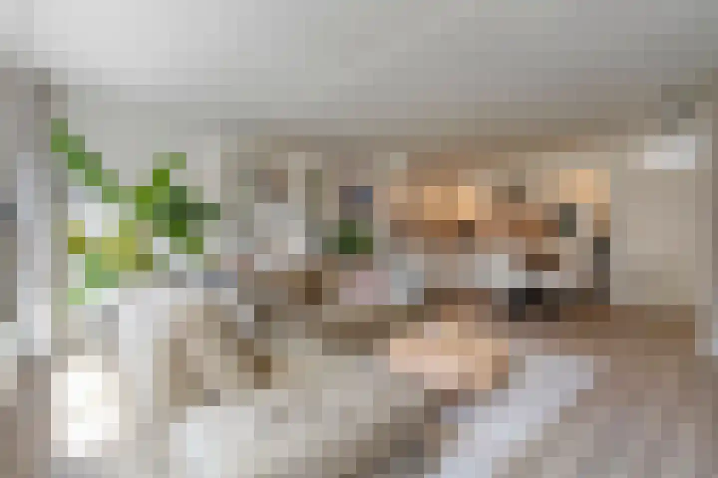 de Heerd 6 Raalte thumbnail 17