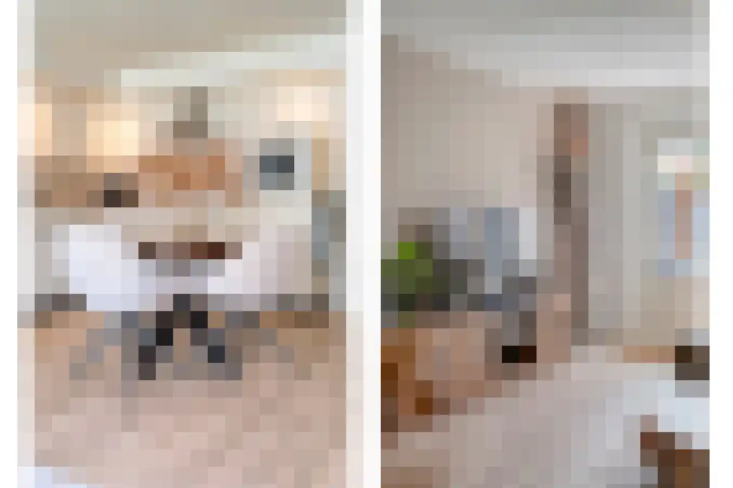 de Heerd 6 Raalte thumbnail 20