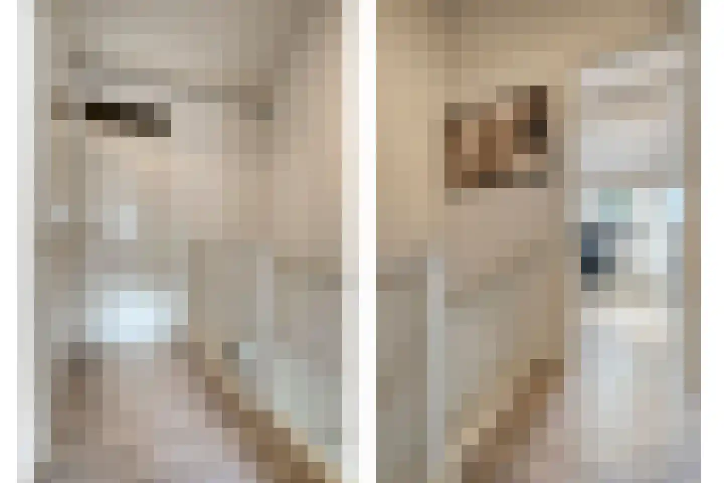 de Heerd 6 Raalte thumbnail 21