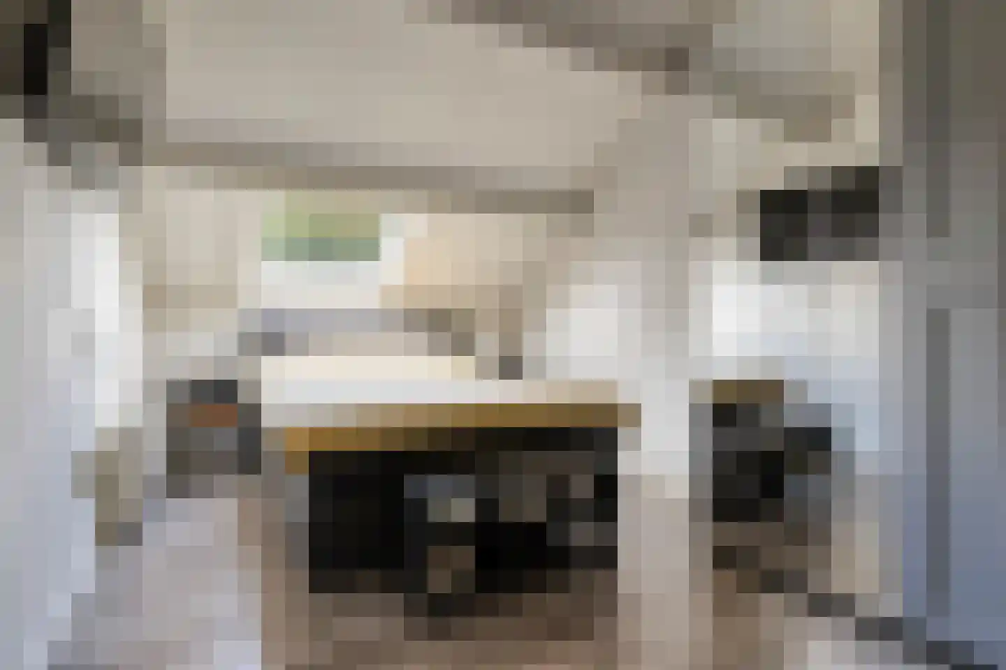 de Heerd 6 Raalte thumbnail 22