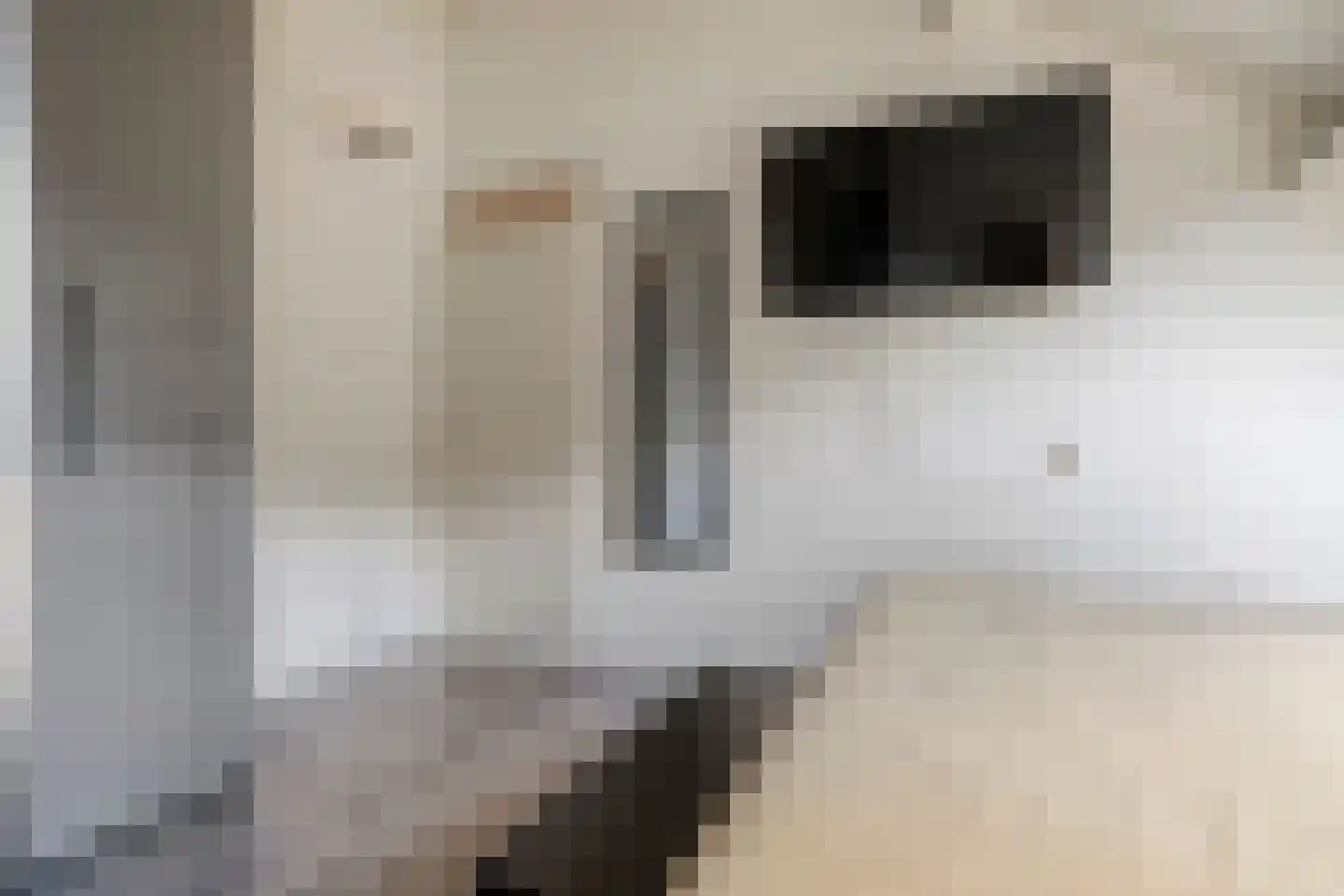 de Heerd 6 Raalte thumbnail 23