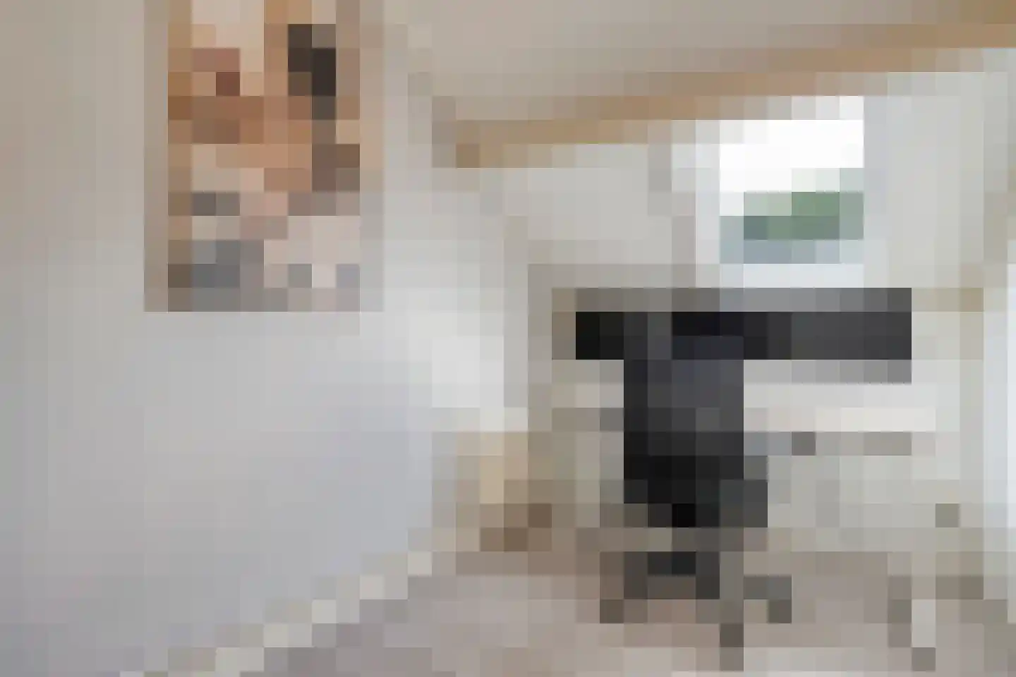 de Heerd 6 Raalte thumbnail 24