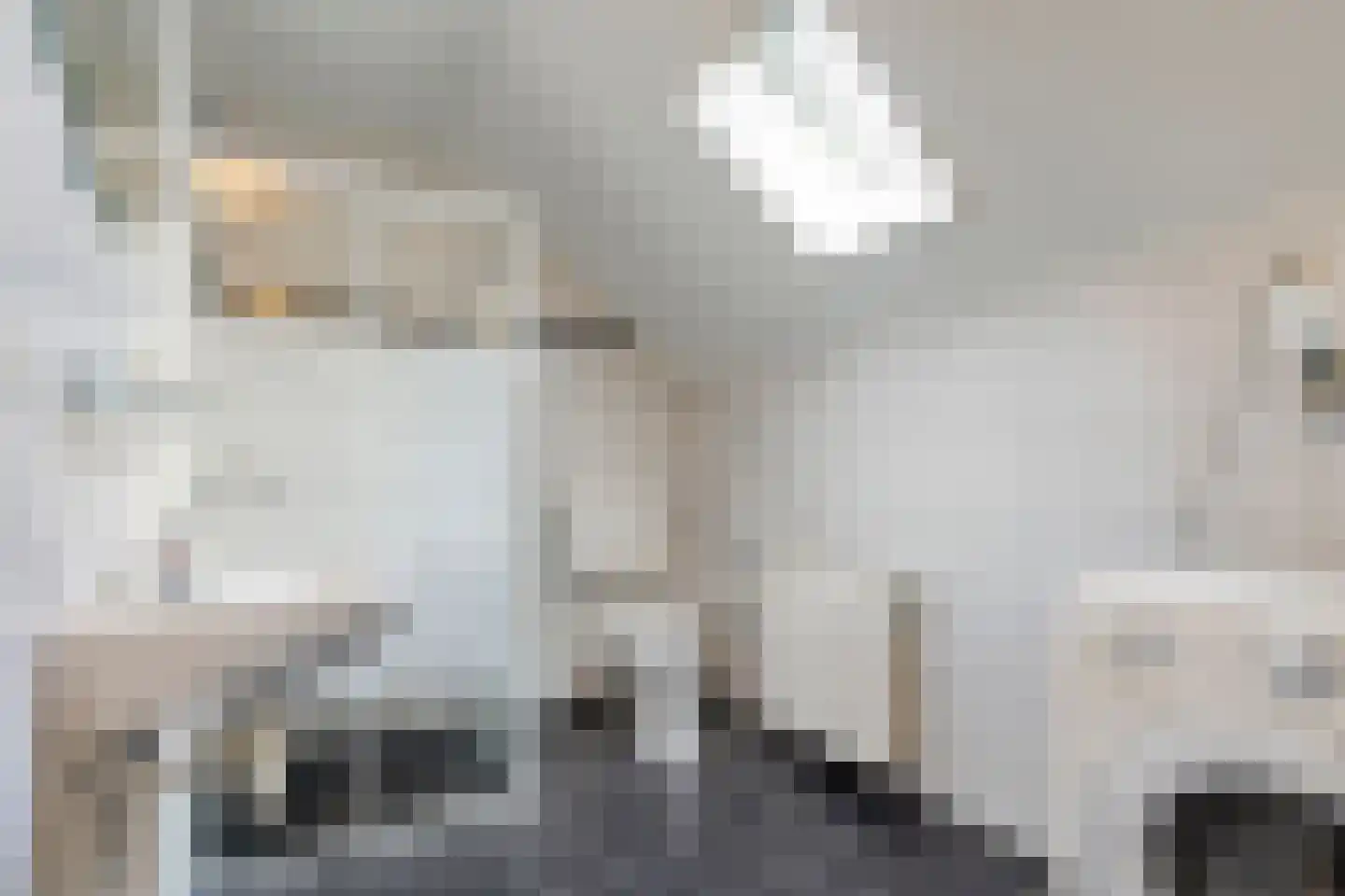de Heerd 6 Raalte thumbnail 26