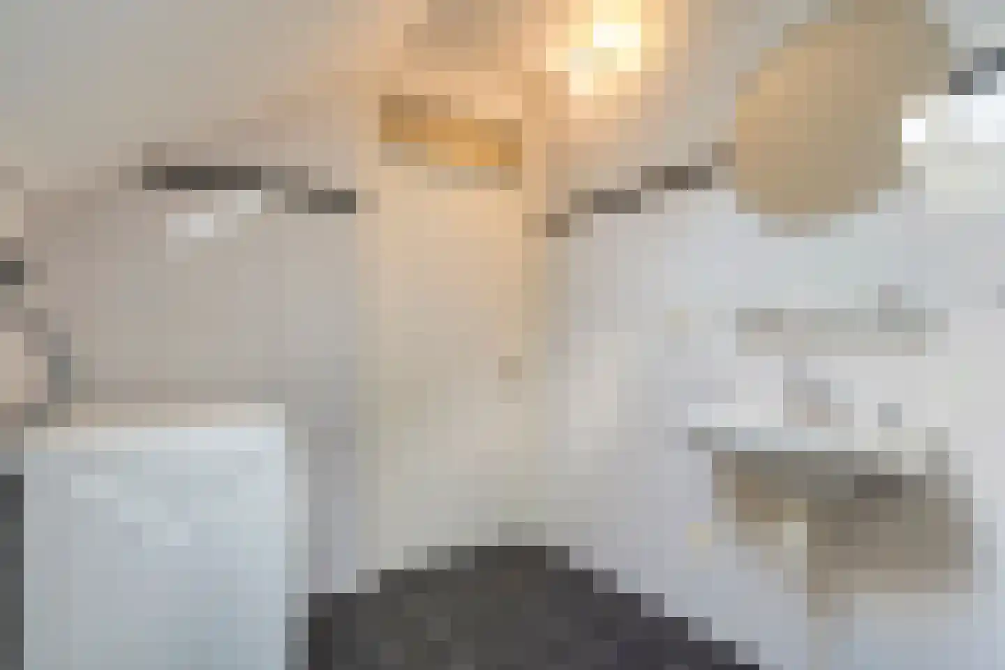 de Heerd 6 Raalte thumbnail 27