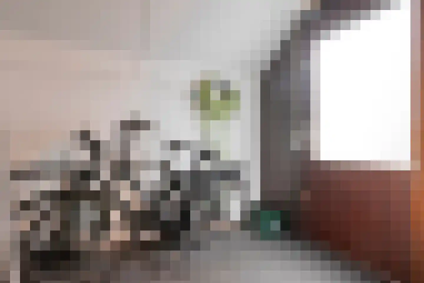 de Heerd 6 Raalte thumbnail 31
