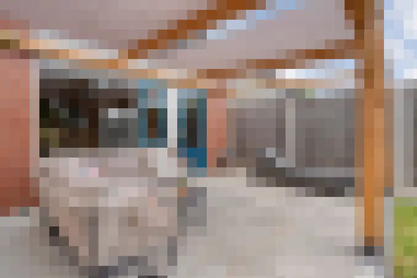 de Heerd 6 Raalte thumbnail 39