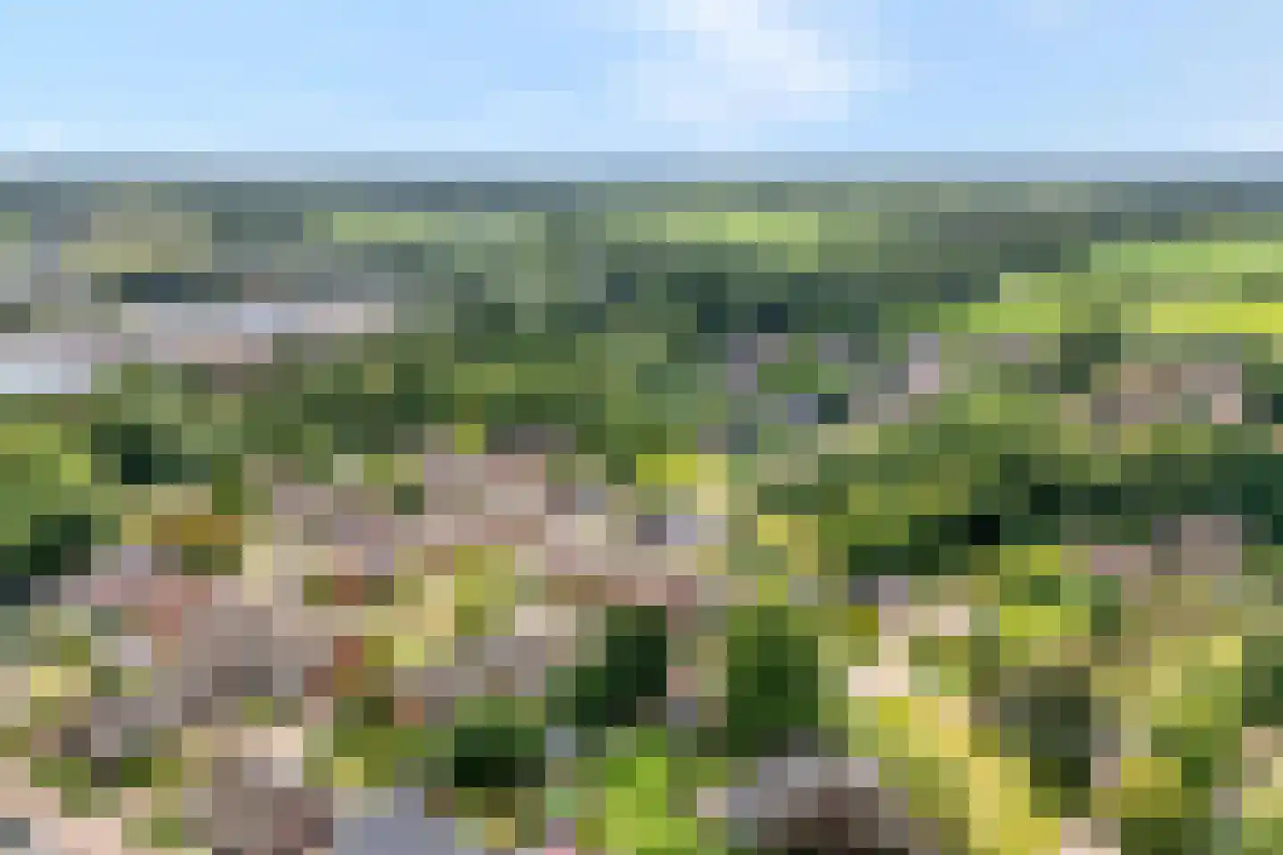 de Heerd 6 Raalte thumbnail 4