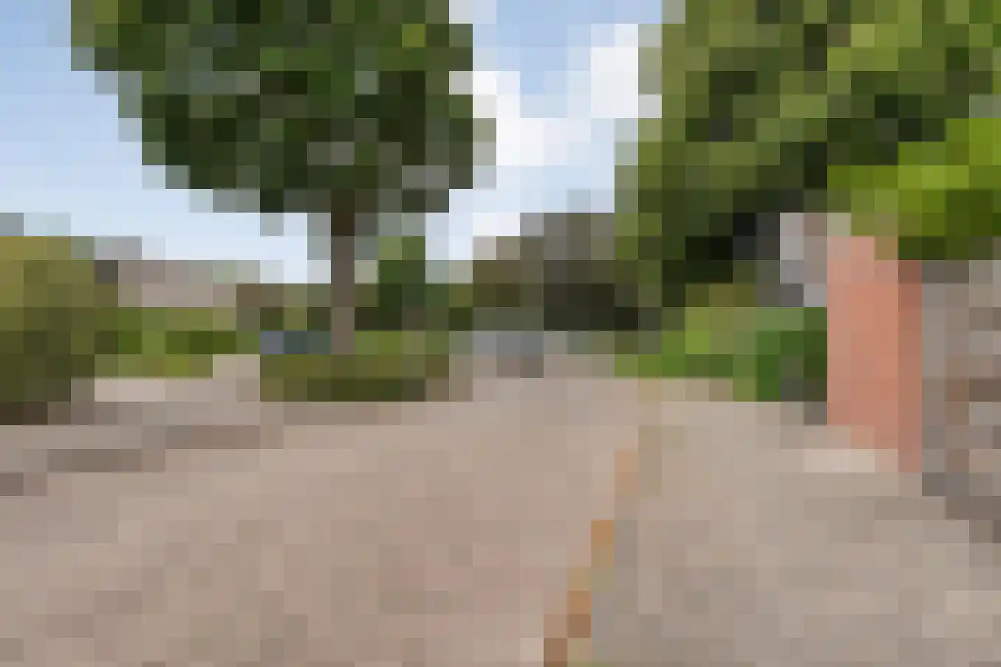 de Heerd 6 Raalte thumbnail 42