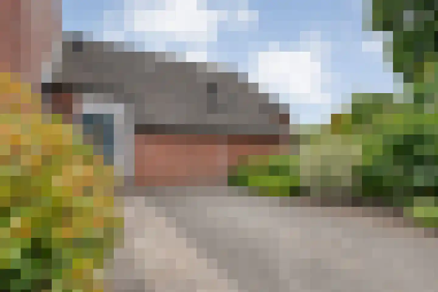 de Heerd 6 Raalte thumbnail 46