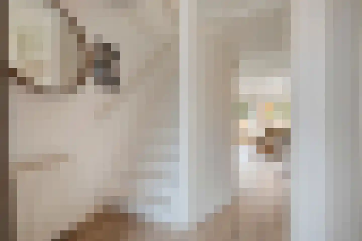 de Heerd 6 Raalte thumbnail 7