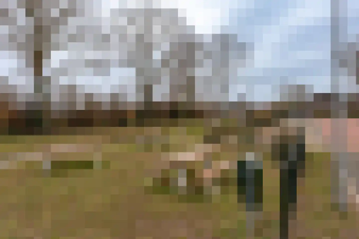 De Heerdtweg 10 Oosterwolde Gld thumbnail 49