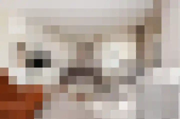 De Heeren van 's-Gravensande 123 's-Gravenzande thumbnail 10